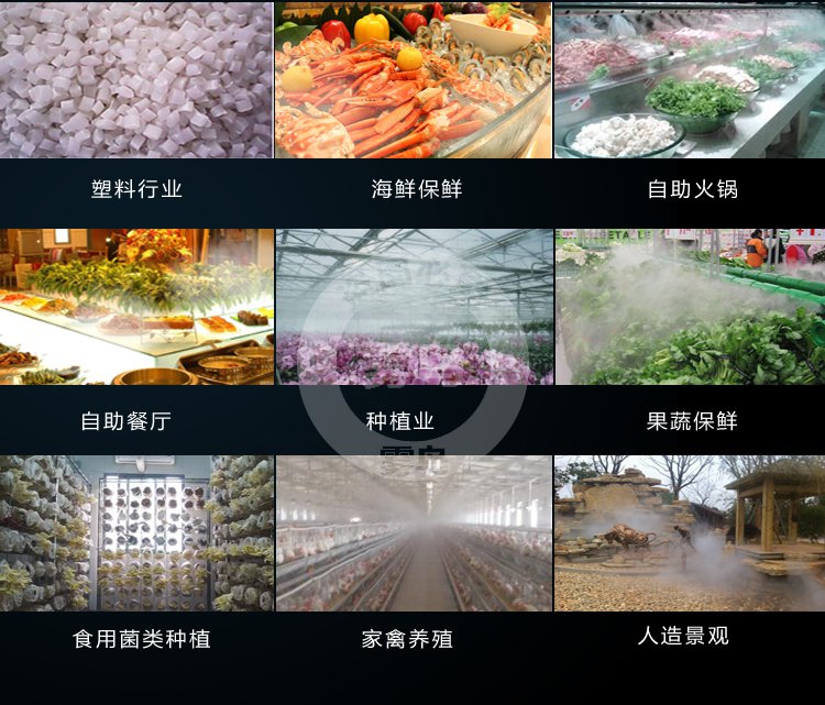 金年会金字招牌信誉至上